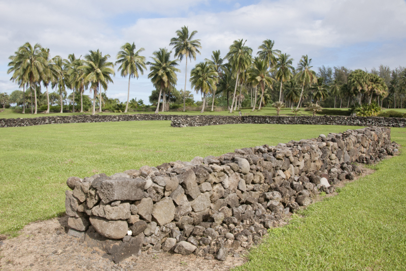 stone wall and palms